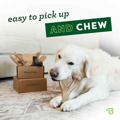 Dog chewing a Benebone toy with boxes in the background.