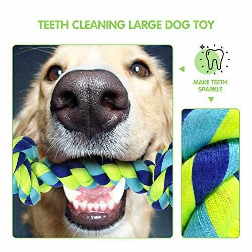 Dog biting a large rope toy for teeth cleaning.