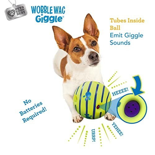 Dog Playing with a Wobble Wag Giggle Ball Toy Emitting Sounds