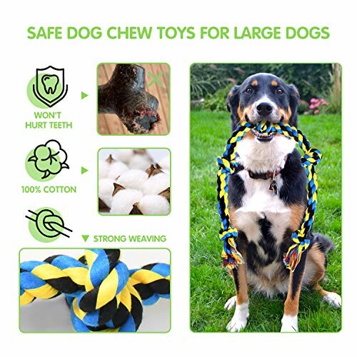 Dog with chew toy, labeled safe for large dogs, featuring strong weaving and 100% cotton.