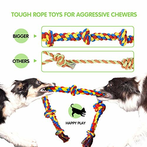 Dogs playing with tough rope toys for aggressive chewers